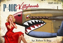 P-40E - Wallace D. Hogg magnet 