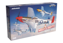 MIGHTY EIGHTH: 65th Fighter Wing 1/48 