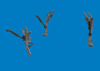 F-35A undercarriage legs PRINT 1/48 