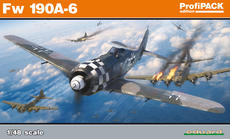 Fw 190A-6 1/48 