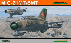 MiG-21SMT 1/48 