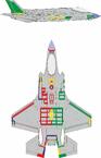 F-35A RAM coating early 1/72 F-35A RAM coating early 1/72