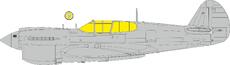 P-40K TFace 1/48 