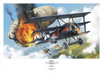 Poster - Fokker Dr.I 