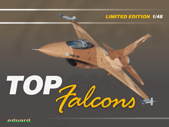 Top Falcons 1/48 