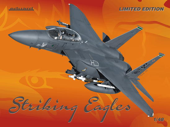 Striking Eagles 1/48 