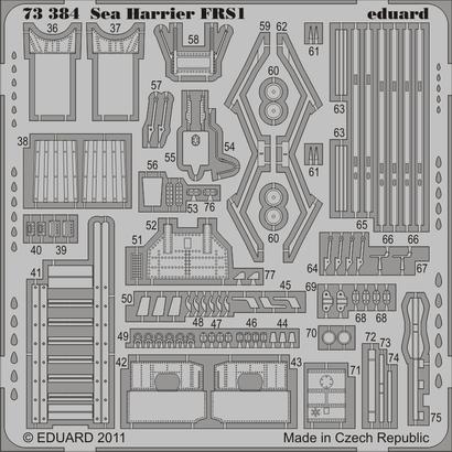 Sea Harrier FRS.1 S.A. 1/72 