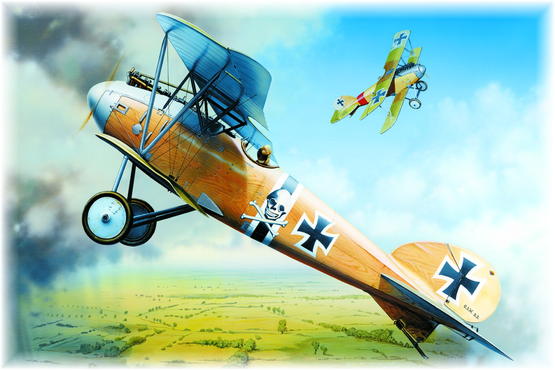 Albatros D.III O.A.W. 1/48 