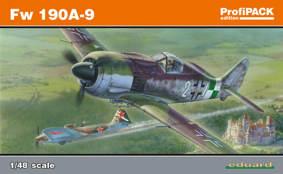 Fw 190A-9 1/48 