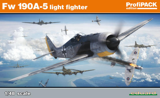 Fw 190A-5 light fighter 1/48 