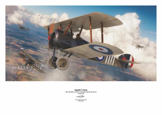 Sopwith F.1 Camel 