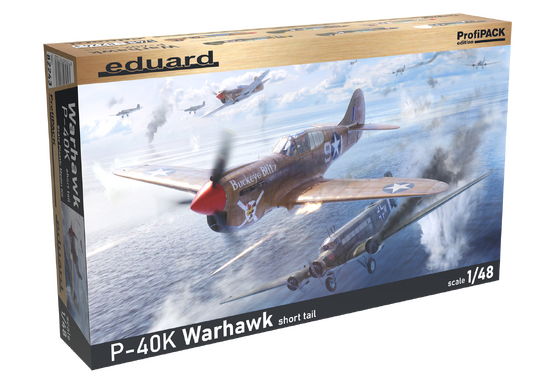 P-40K s krátkým trupem 1/48  - 1