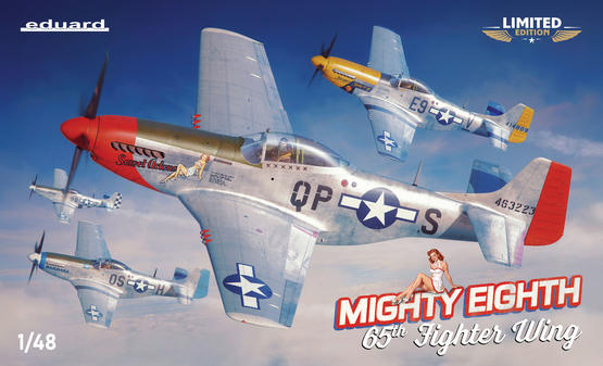 MIGHTY EIGHTH: 65th Fighter Wing 1/48  - 2
