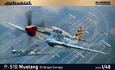 P-51B Mustang Birdcage canopy 1/48 - 2/2