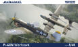 P-40N Warhawk 1/48 - 2/2