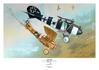 Poster - Albatros D.V 